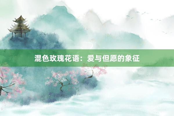 混色玫瑰花语：爱与但愿的象征