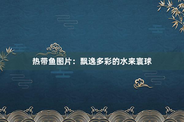 热带鱼图片：飘逸多彩的水来寰球